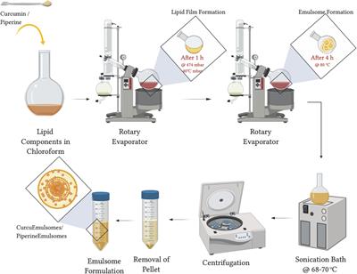 Curcumin- and Piperine-Loaded Emulsomes as Combinational Treatment Approach Enhance the Anticancer Activity of Curcumin on HCT116 Colorectal Cancer Model